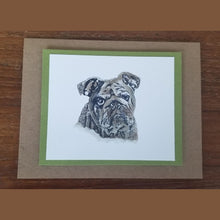 Load image into Gallery viewer, Holy Cats & Dogs -- Scripture Note Cards