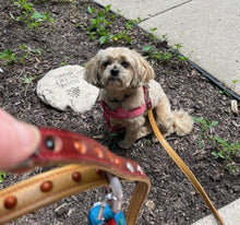 Load image into Gallery viewer, Little Way Leather Dog Leash for praying the Rosary