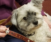 Load image into Gallery viewer, Little Way Leather Dog Leash for Small Dogs- with Maltese Cross