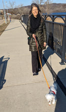 Load image into Gallery viewer, Little Way Leather Dog Leash for praying the Rosary