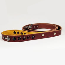 Load image into Gallery viewer, rosary beads dog leash