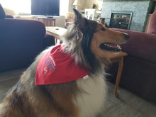 Load image into Gallery viewer, United States Marine Corps dog bandana