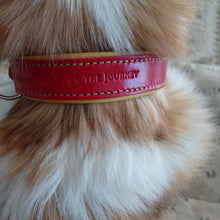 Load image into Gallery viewer, Red leather collar on Collie with &#39;Companions On the Journey&#39; branding.