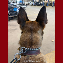 Load image into Gallery viewer, Leather Dog Collar with holy medal  - "Dominic"