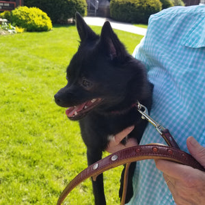 Little Way Leather Dog Leash for praying the Rosary