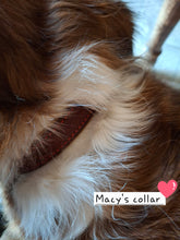 Load image into Gallery viewer, St. Dominic Leather Dog Collar - with holy medal