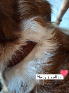St. Dominic Leather Dog Collar - with holy medal