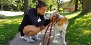 Rosary Walk Dog Leash with Crucifix