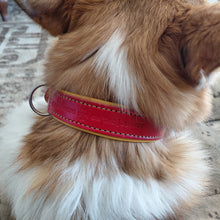 Load image into Gallery viewer, Close-up of Collie wearing a red leather dog collar with leatherstamp &quot;Companions on the Journey&quot;